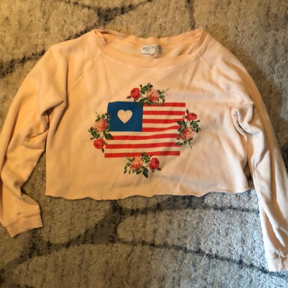 Cozy crop Wildfox sweatshirt